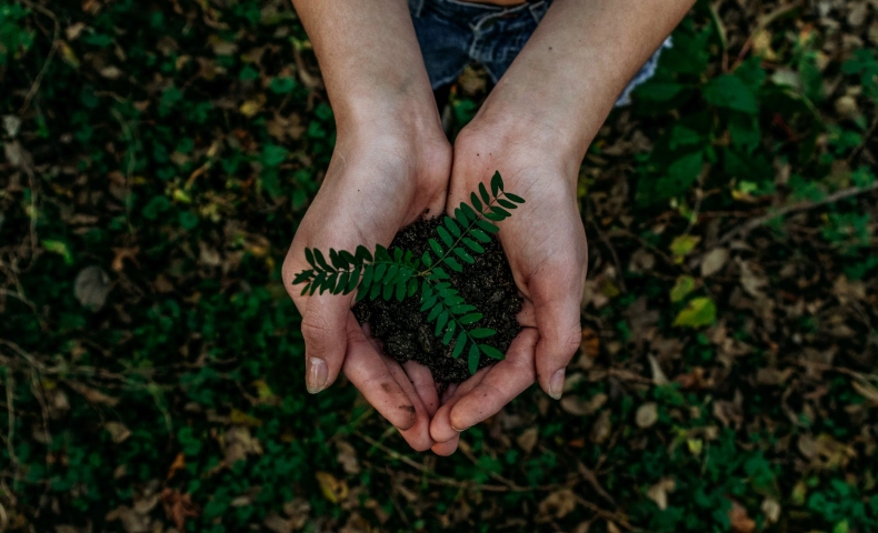 Energie rinnovabili e filiera agroalimentare